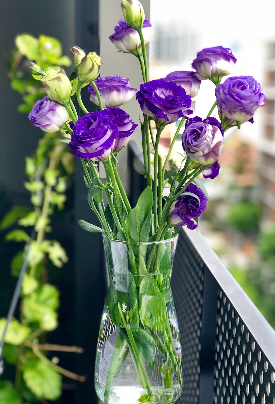 close up photography flowers in a vase